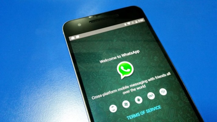 Image of a phone with WhatsApp installed