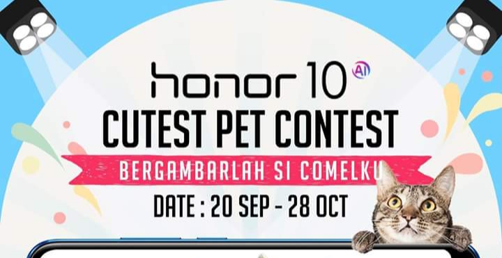 Make your pet famous and win an honor 10 16