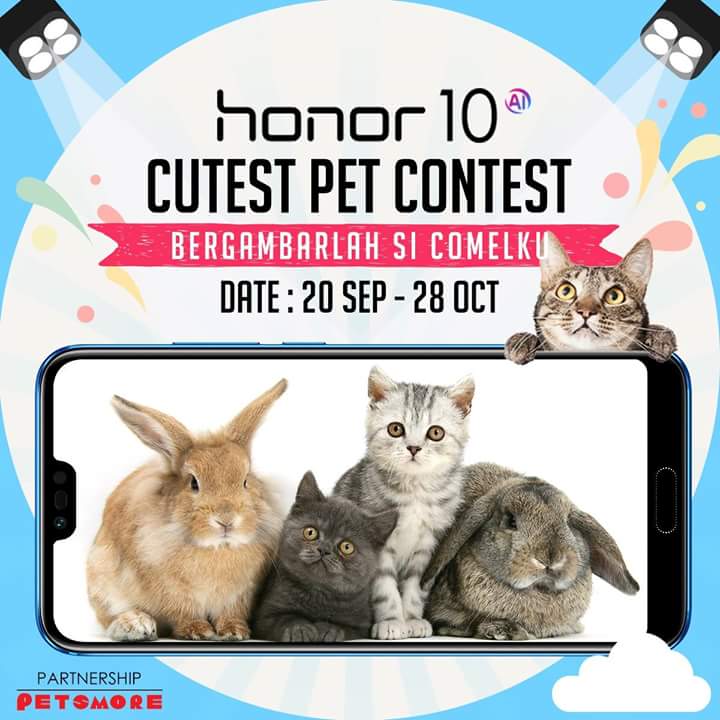 Make your pet famous and win an honor 10 2