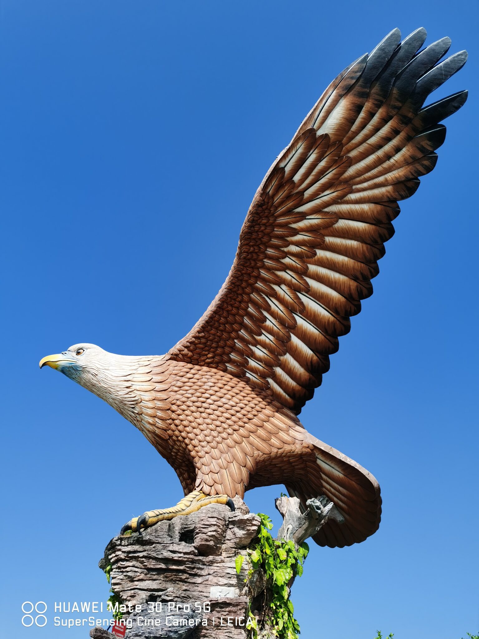 Mate30 Pro 5G eagle