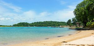 Epson and WWF team-up to champion sustainability and enhance marine restoration efforts in SEA 4