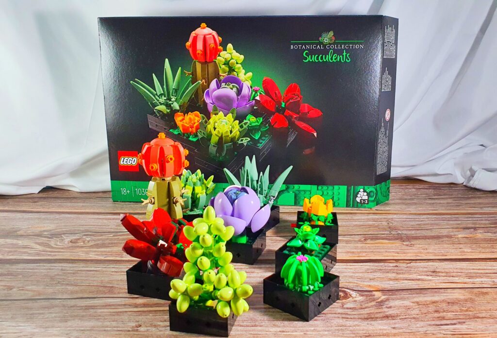 Lego succulents review box