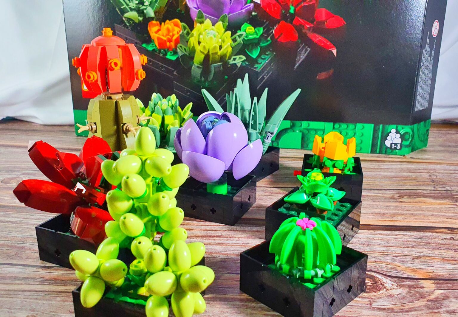 LEGO Succulents Review #10309 Creator Expert Botanical Collection ...