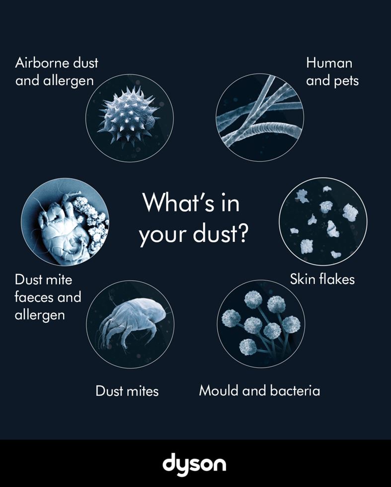 dust content malaysia dust mite