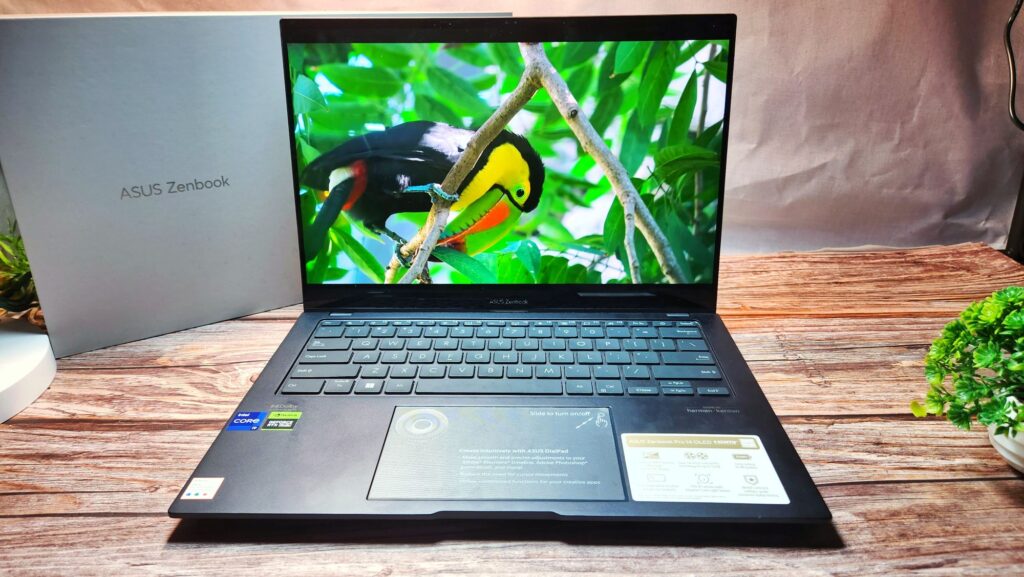ASUS Zenbook Pro 14 OLED UX6404 Review toucan image