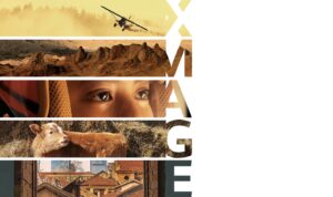 HUAWEI XMAGE Awards 2023 world final winners revealed and their photos are amazing! 2