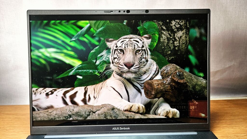 Asus Zenbook 14 OLED UX3405 Review (2024) display