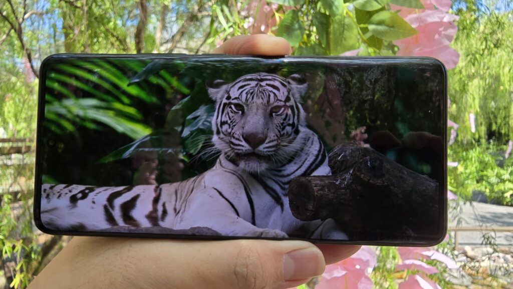 Xiaomi Redmi Note 14 Pro Plus 5G display