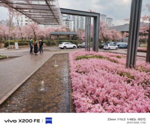 vivo X200 FE Camera Review AI four season portrait mode spring