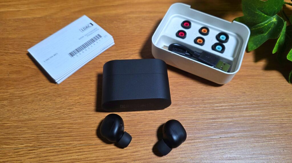 Sony WF-1000XM6 Review buds 2