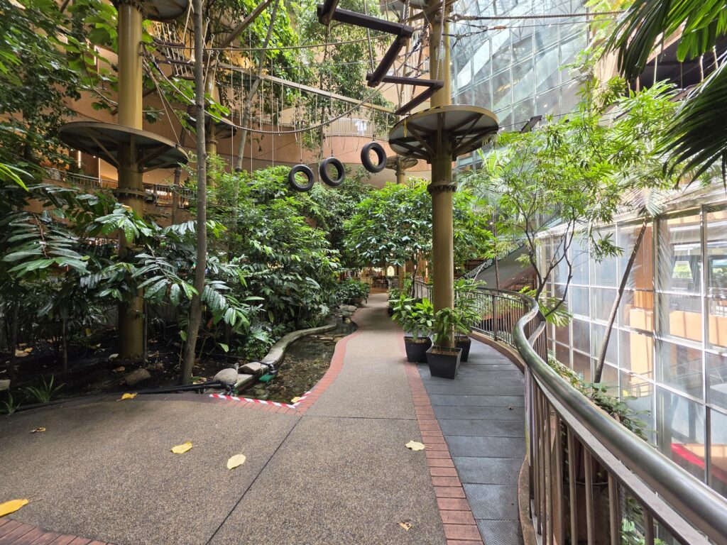 Samsung Galaxy S26 Ultra Review cameras 5