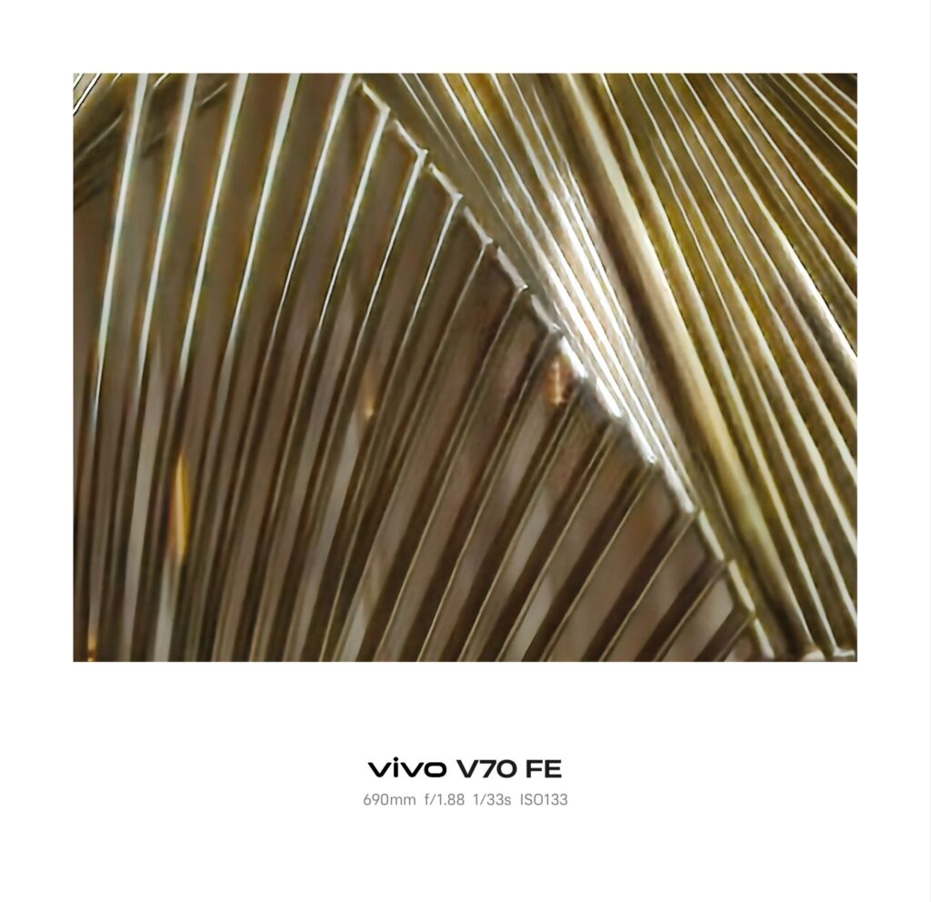 vivo V70 FE Review 30x