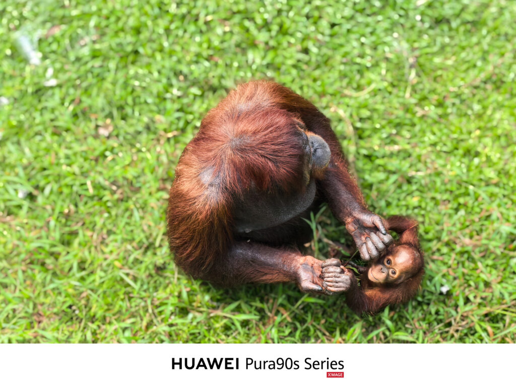 HUAWEI XMAGE Awards 2026 Malaysia a heartwarming world Photo 66