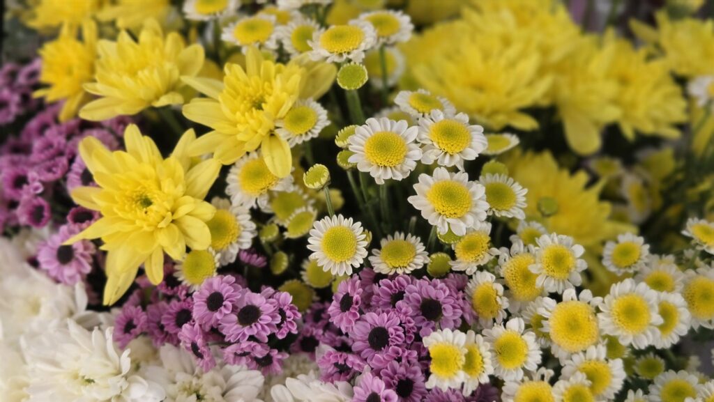 Samsung Galaxy Z Fold8 Review flowers
