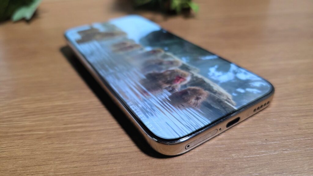 Honor X9e Pro Review front 2